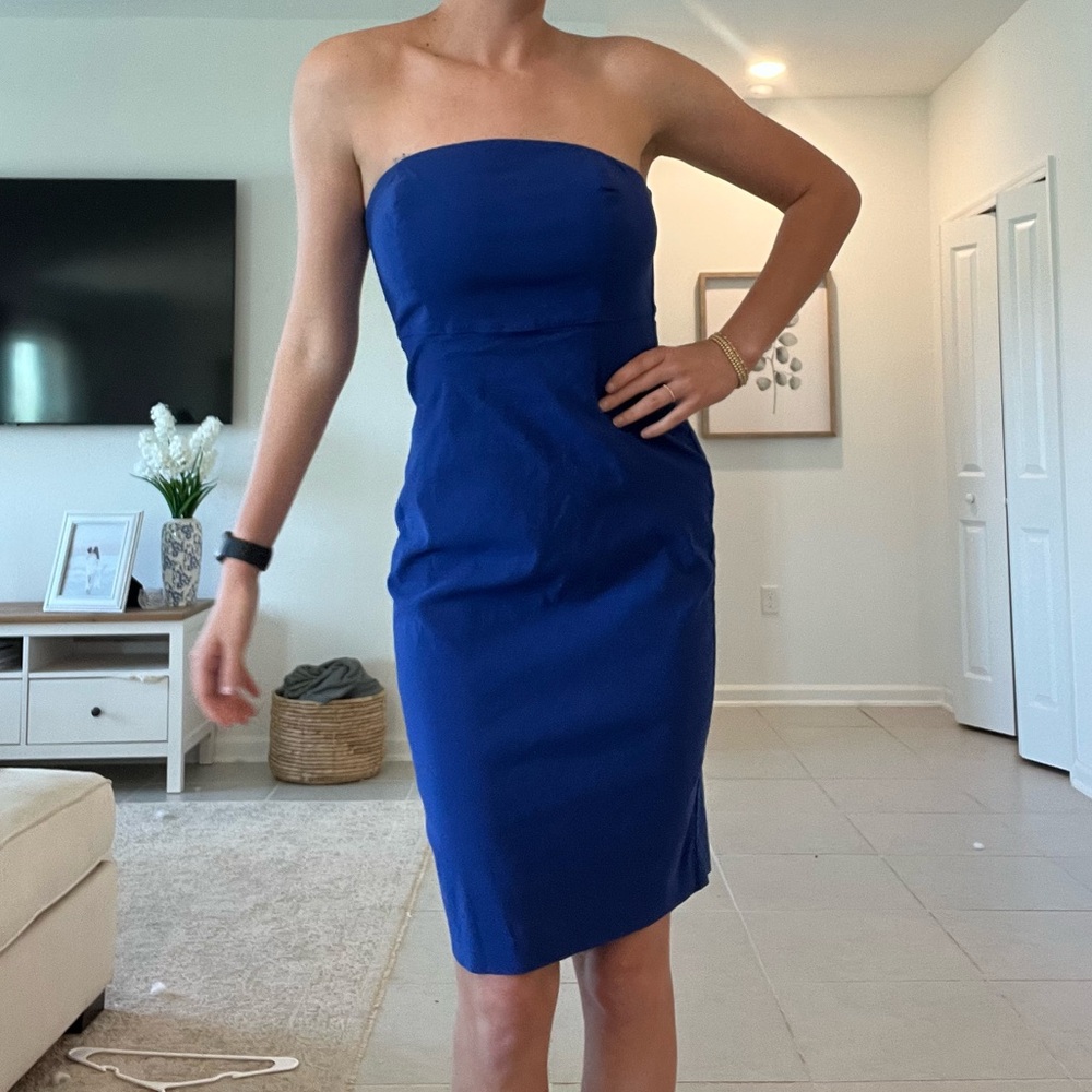 Express Royal Blue Stretch Dress